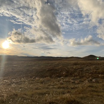 Custer State Park - Parks Near Me - Custer, South Dakota