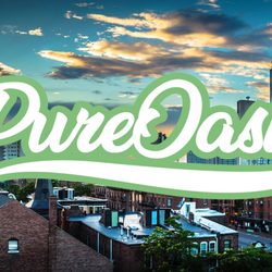 Pure Oasis