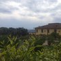 Photo of Villa Gamberaia