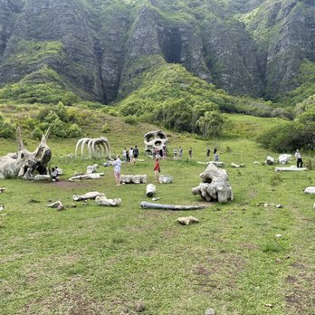 Kualoa Ranch - Tours Near Me - Kaneohe, Hawaii Kualoa Ranch - Tours Near Me - Kaneohe, Hawaii