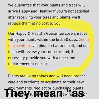 Brighter blooms - Fake information. They do not stand behind customer satisfaction. Apparently the mostly bare tree is just fine because it is "alive." - Nurseries & Gardening Near Me - Fort Mill, South Carolina