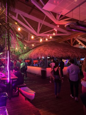 The Cat's Pajamas by null