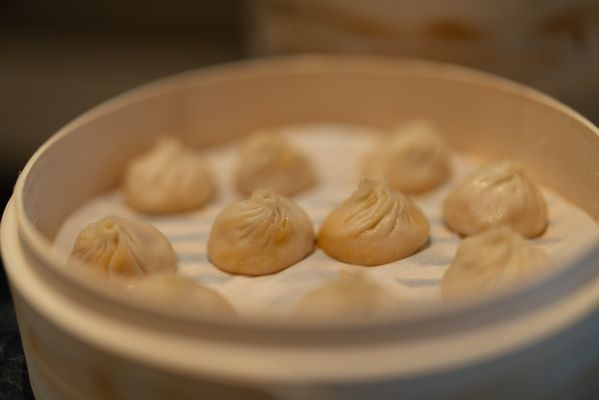 Paradise Dynasty at The Americana by null