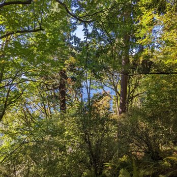 Lincoln Park - Parks Near Me - Seattle, Washington