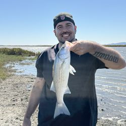 Benicia Bait & Tackle