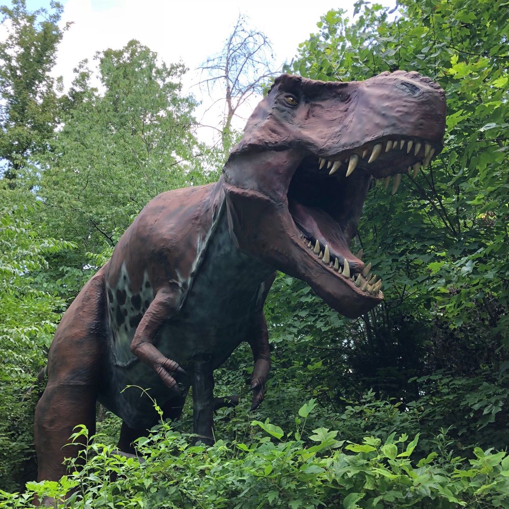 Backyard Terrors Dinosaur Park - Amusement Parks Near Me - Bluff City, Tennessee Backyard Terrors Dinosaur Park - Amusement Parks Near Me - Bluff City, Tennessee