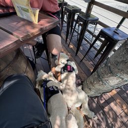 Dog friendly patio Dog friendly patio