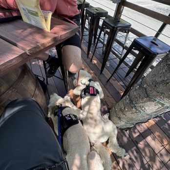 Tap & Barrel Tavern - Dog friendly patio - New American Near Me - Bar Harbor, Maine Tap & Barrel Tavern - Dog friendly patio - New American Near Me - Bar Harbor, Maine