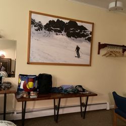 Yodeler Motel - King, pet friendly, 'lots of places for your stuff' room!