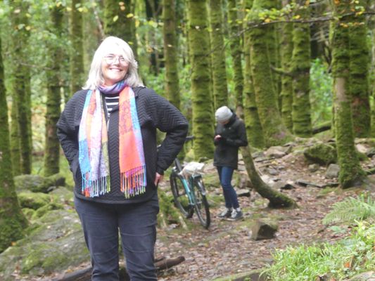 Torc Waterfall by null