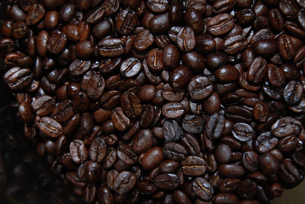 o Jupiter Florida Real Estate For Sale