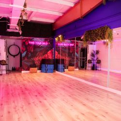 The House of Chrome Pole Fitness