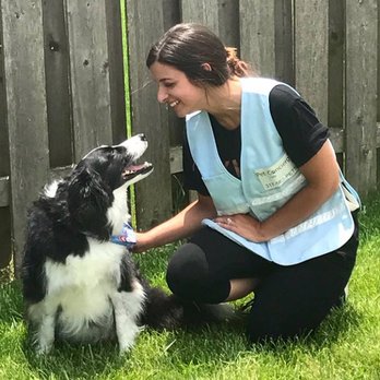 Pet Concierge Indy - All of our walkers wear reflective vests when entering your home for safety. - Dog Walkers Near Me Pet Concierge Indy - All of our walkers wear reflective vests when entering your home for safety. - Dog Walkers Near Me