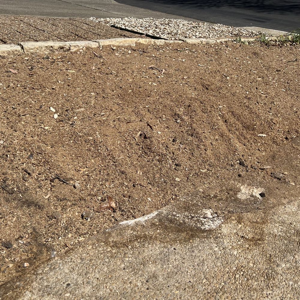 The Real Stump Busters Tree Service - tree service in San Antonio, TX