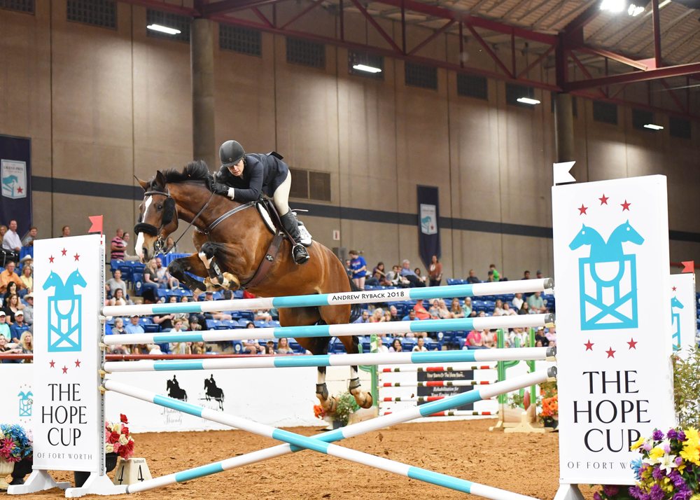 Serendipity Farms - equestrian in Austin, TX