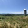Photo of Harrier Hill Park