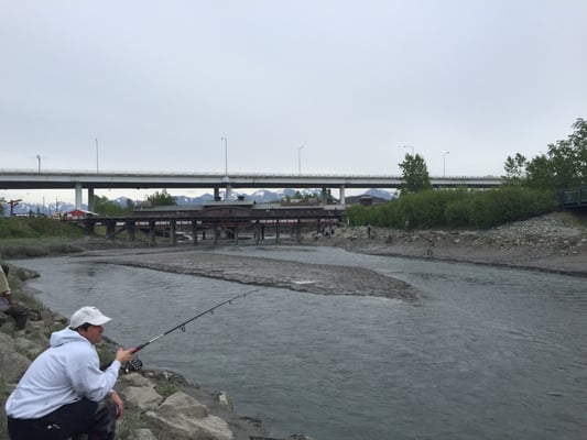 The Bait Shack by null