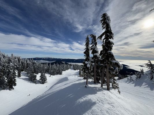 Mt. Hood Meadows by null