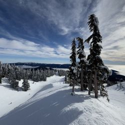 Mt. Hood Meadows
