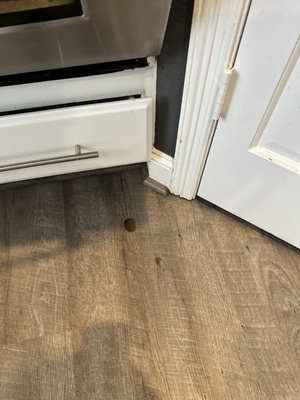 The Maids of Arlington