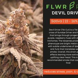 North Coast Provisions Cannabis Dispensary