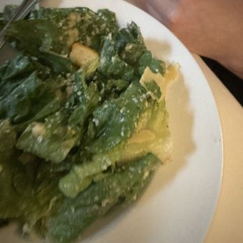 Bernini - Salad - Italian Near Me - Tampa, Florida Bernini - Salad - Italian Near Me - Tampa, Florida