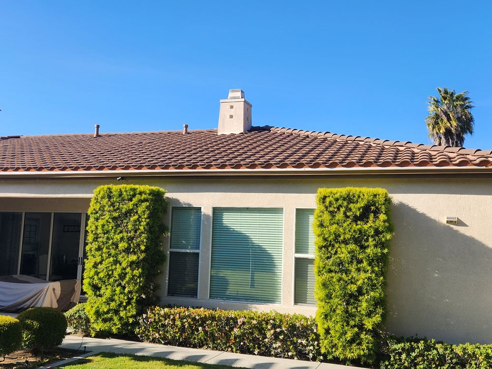 Slide of Cesar Arenas 