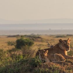 Jen Mitchell Travel