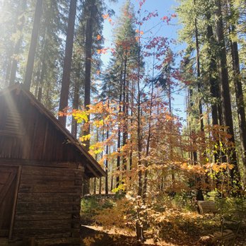 Nelder Grove - November 3, 2019 Sunday - Hiking Near Me