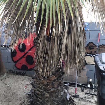 HLI Tree Experts - Tree Services Near Me HLI Tree Experts - Tree Services Near Me
