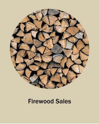 Firewood Sales - Reach us now for Firewood for sale! Firewood Sales - Reach us now for Firewood for sale!