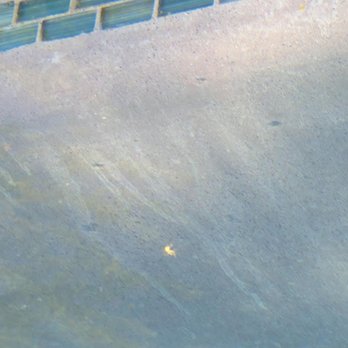 Distinctive Exteriors - Runs along pool wall below step - Landscape Architects or Designers Near Me - Las Vegas, Nevada Distinctive Exteriors - Runs along pool wall below step - Landscape Architects or Designers Near Me - Las Vegas, Nevada