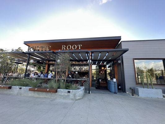 Rustic Root by null