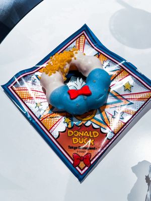 Tokyo Disneyland by null