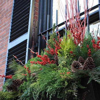 Wisteria & Rose - a window box with red berries and evergreen branches - Landscaping Near Me Wisteria & Rose - a window box with red berries and evergreen branches - Landscaping Near Me