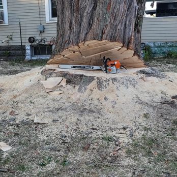 K&R Tree Service - Tree Services Near Me - South Bend, Indiana K&R Tree Service - Tree Services Near Me - South Bend, Indiana