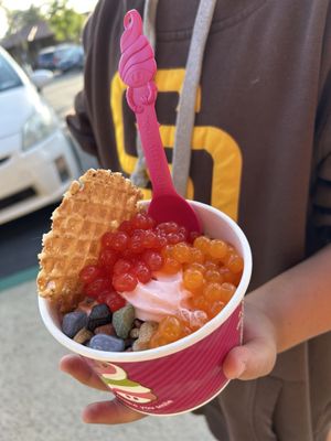 Menchie's Frozen Yogurt by null