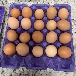 GoneStraw Farms - Egg flat shorted 10 eggs per flat