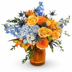Wild Orchid Florist