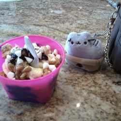 The Skinny Dip Frozen Yogurt Bar - This is cake batter with wet walnuts, white chocolate chips, and cheesecake pieces!!!