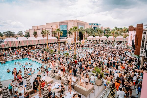 Palm Tree Beach Club by null