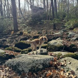Weir Preserve