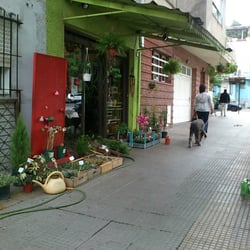 Country Green