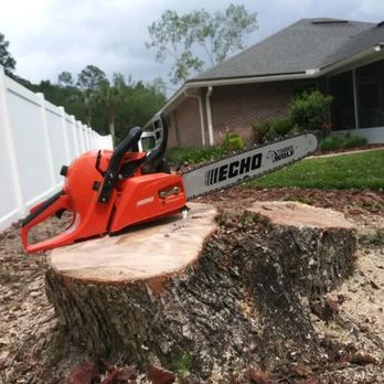 Arbor Tech 904 - Tree Services Near Me Arbor Tech 904 - Tree Services Near Me