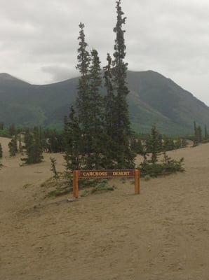 Carcross Desert by null