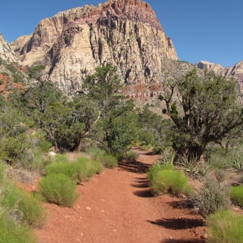 The Potato Knoll - The trail continues on the south side of the Knoll. - Hiking Near Me - Las Vegas, Nevada