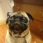 Photo of Flamingo Falls Eye Care