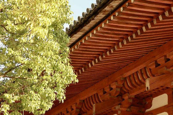 To-ji Temple by null