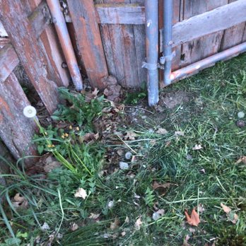Legend Lawn Care - Paid for weed whacking, they didn't do it - Lawn Services Near Me Legend Lawn Care - Paid for weed whacking, they didn't do it - Lawn Services Near Me