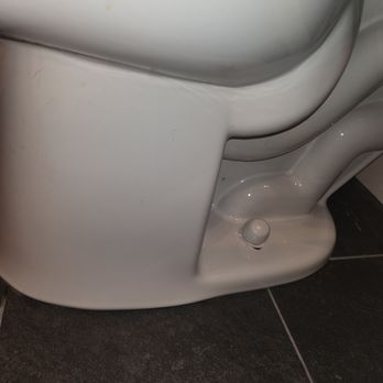 Royal Lion Cleaning Services - Royal Lion will hug a toilet to get it clean. - Home Cleaning Near Me Royal Lion Cleaning Services - Royal Lion will hug a toilet to get it clean. - Home Cleaning Near Me